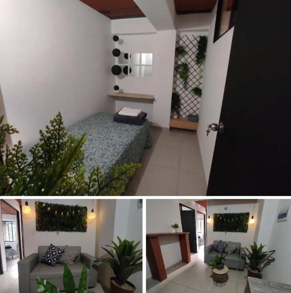 Apartment Apartamento En